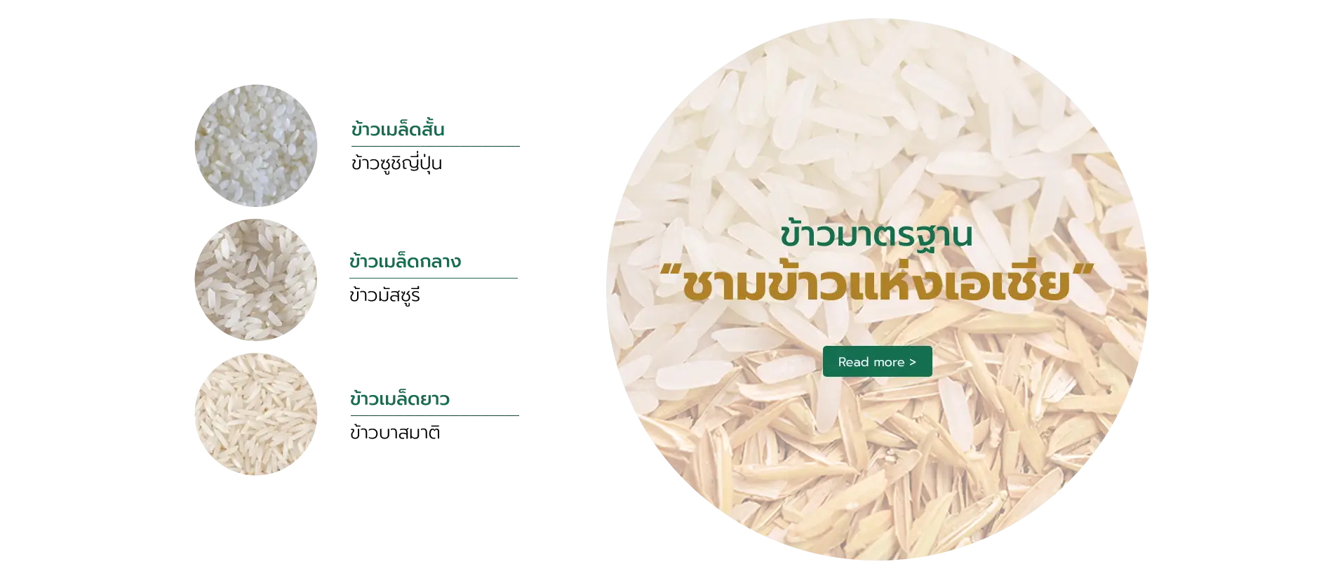 Rainbow-rice-B-Thai.webp (54 KB)